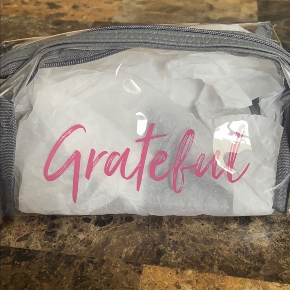 Clear cosmetic bag